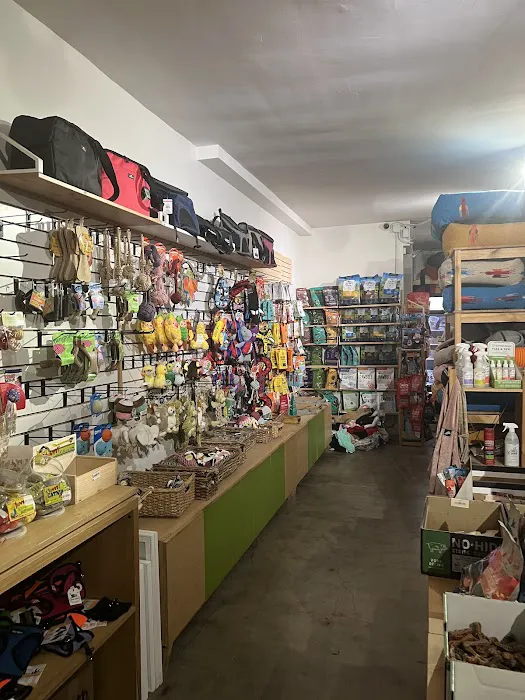 Bruno's Dog & Cat Boutique Picture 1