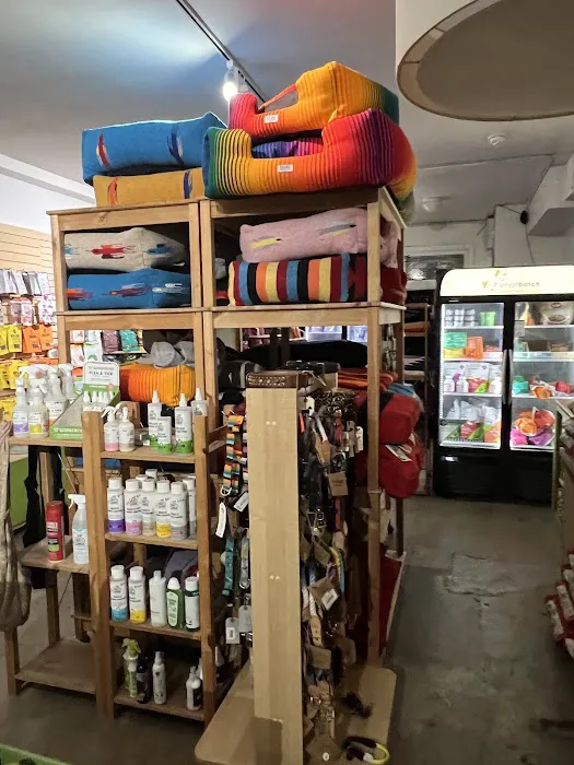 Bruno's Dog & Cat Boutique Picture 3