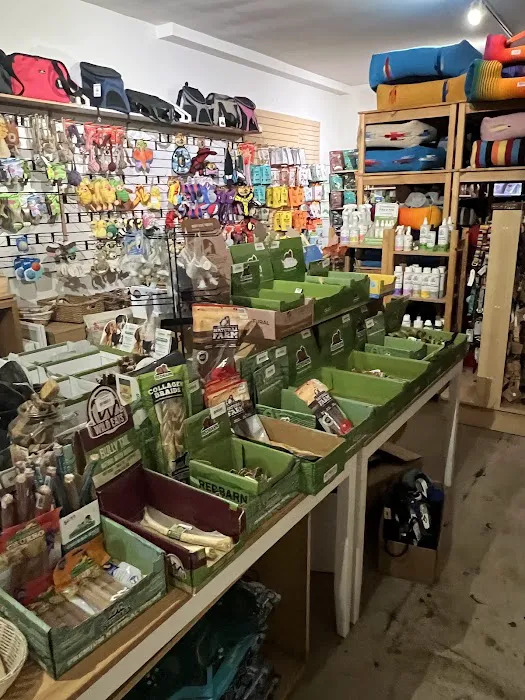 Bruno's Dog & Cat Boutique Picture 6