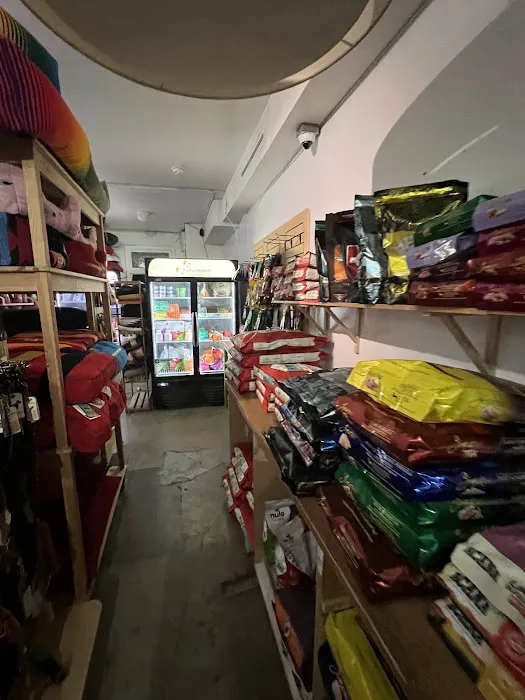 Bruno's Dog & Cat Boutique Picture 9