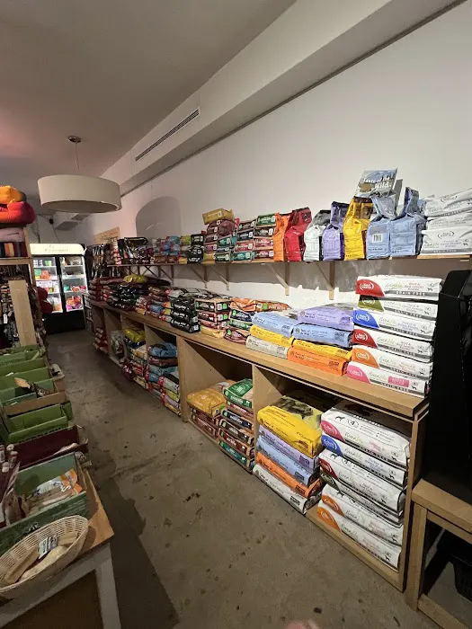 Bruno's Dog & Cat Boutique Picture 5