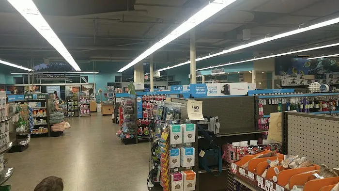 Petco Picture 3