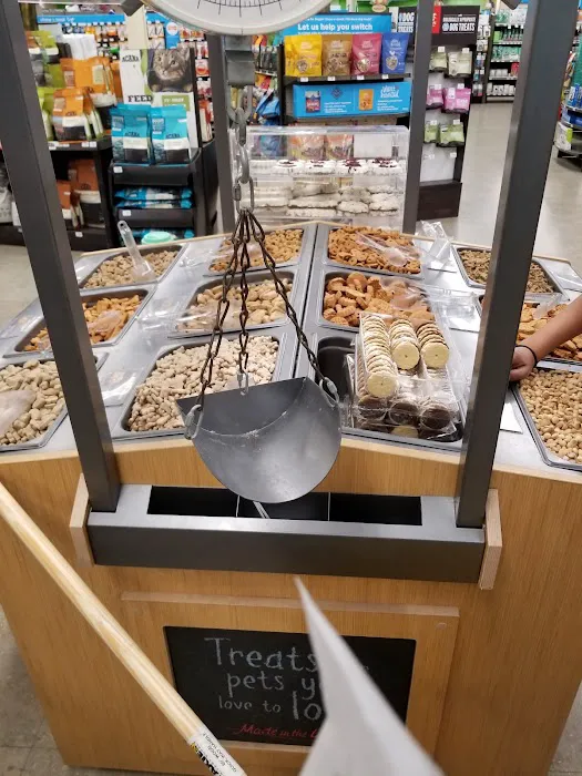 Petco Picture 8