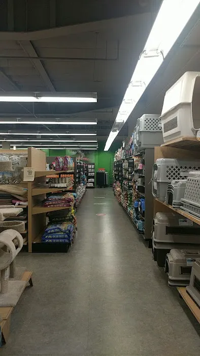 Petco Picture 4
