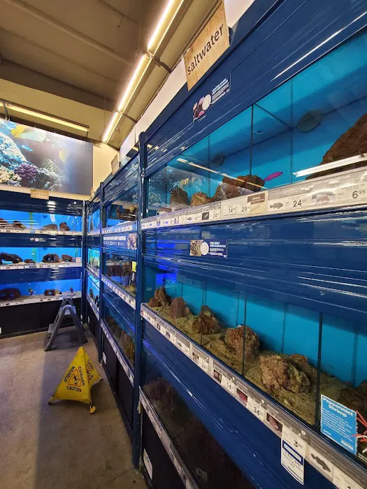 Petco Picture 7