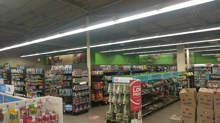 Petco Picture 2