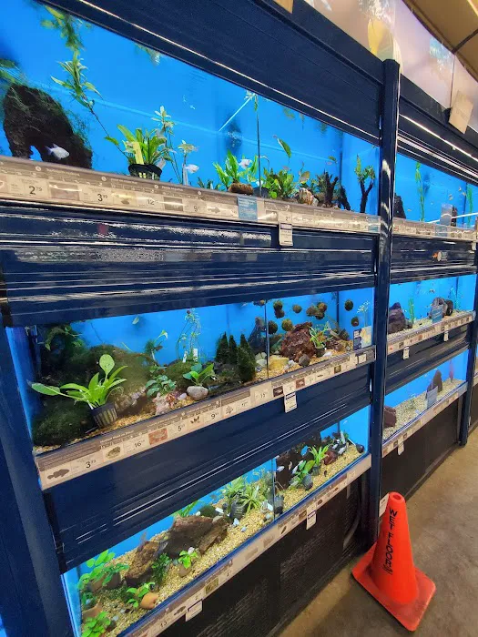 Petco Picture 6