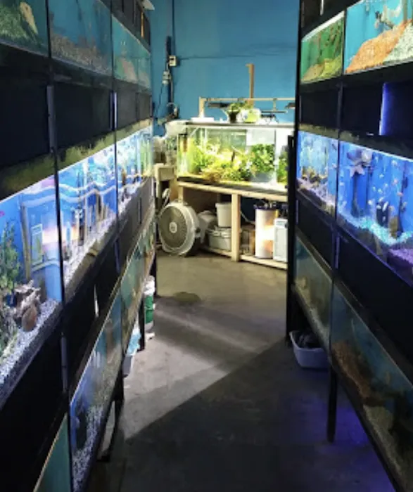 Sunset Pet & Supplies Picture 10