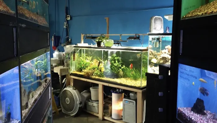 Sunset Pet & Supplies Picture 9