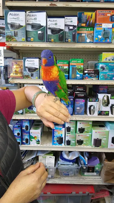 Sunset Pet & Supplies Picture 7