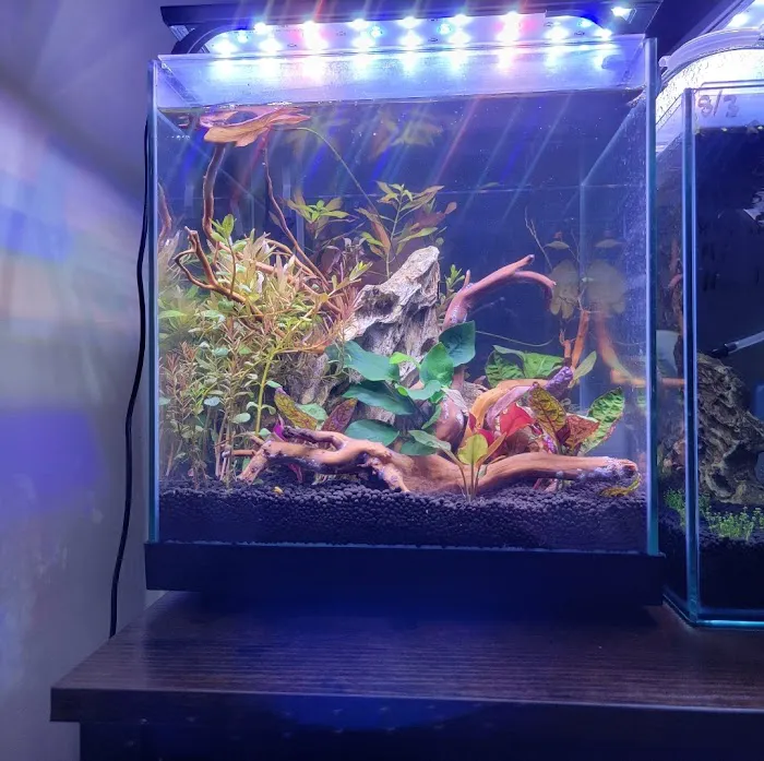 Sunset Pet & Supplies Picture 1