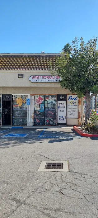 Sunset Pet & Supplies Picture 2