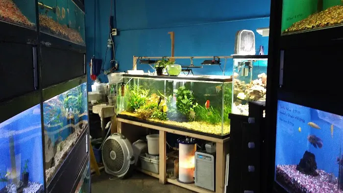 Sunset Pet & Supplies Picture 4