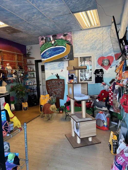 Angeleno Shop Picture 1