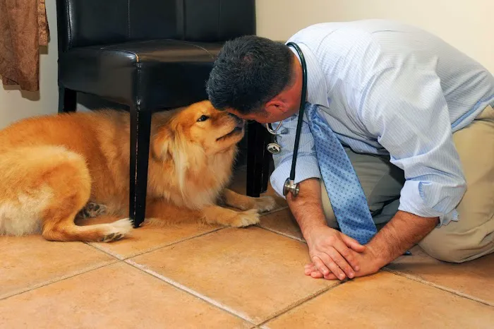 Bull's Head Pet Hospital Picture 4