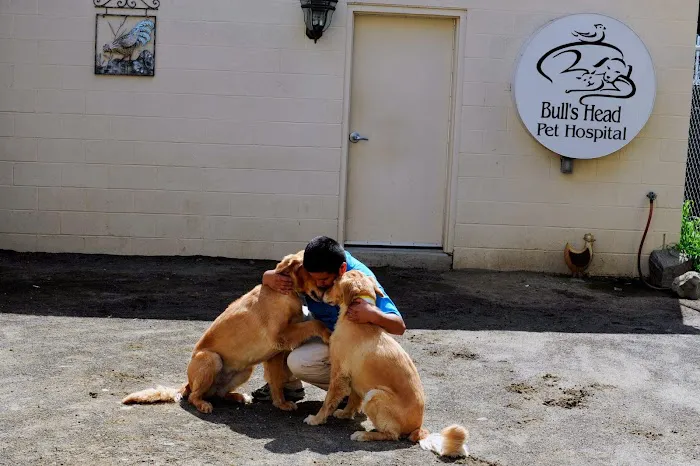 Bull's Head Pet Hospital Picture 10
