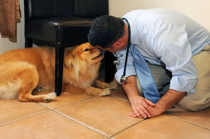 Bull's Head Pet Hospital Picture 9