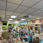 My Cuteness DIY Pet Store