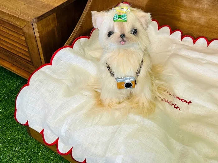 My Cuteness DIY Pet Store Picture 5