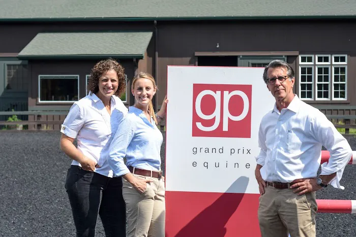 Grand Prix Equine Picture 3