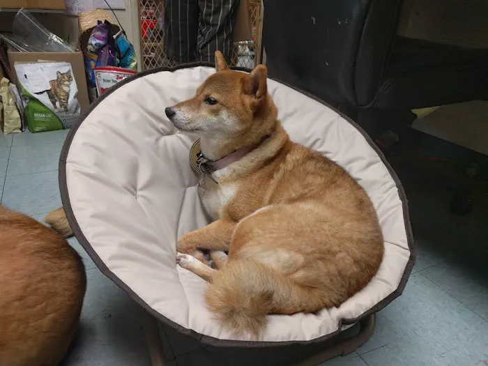 Friends Fur-Ever Pet Food & Supplies Picture 6