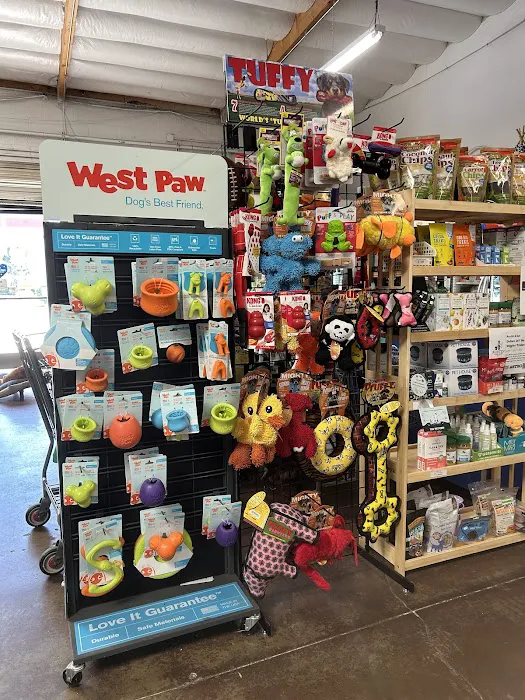 Friends Fur-Ever Pet Food & Supplies Picture 4