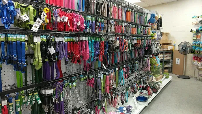 Friends Fur-Ever Pet Food & Supplies Picture 1