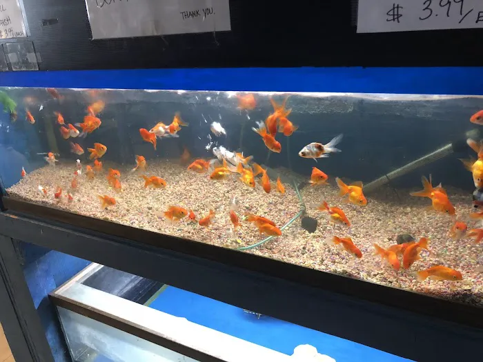Hacienda Aquatics Picture 3
