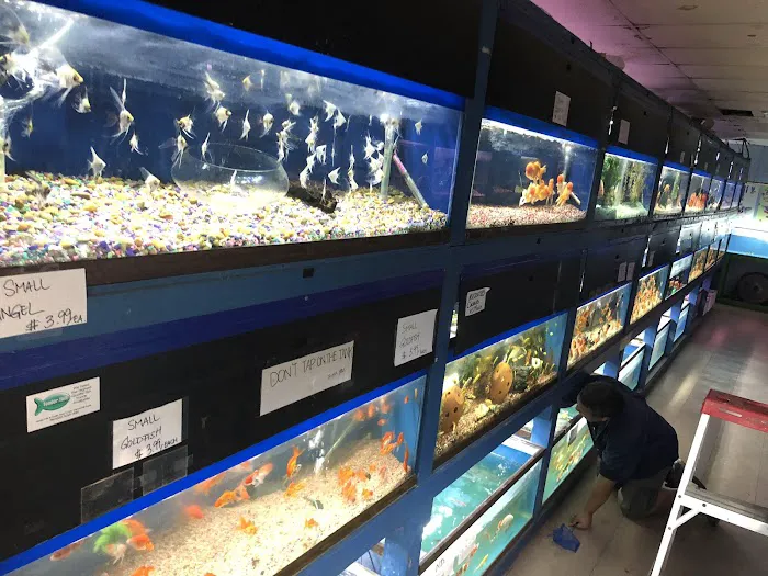 Hacienda Aquatics Picture 5