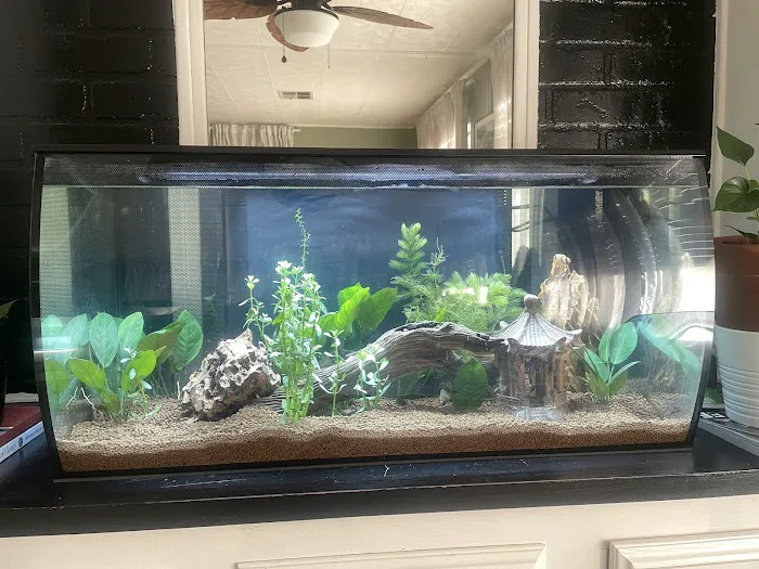 Hacienda Aquatics Picture 10