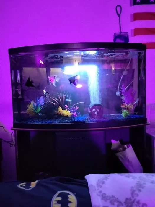 Hacienda Aquatics Picture 8