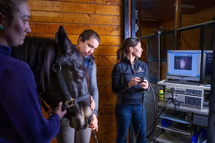Fairfield Equine Associates Picture 2
