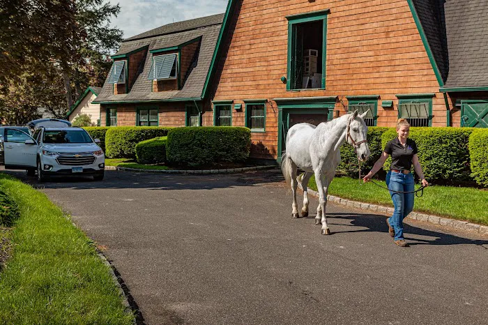 Fairfield Equine Associates Picture 1