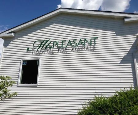 Mt Pleasant Hospital for Animals