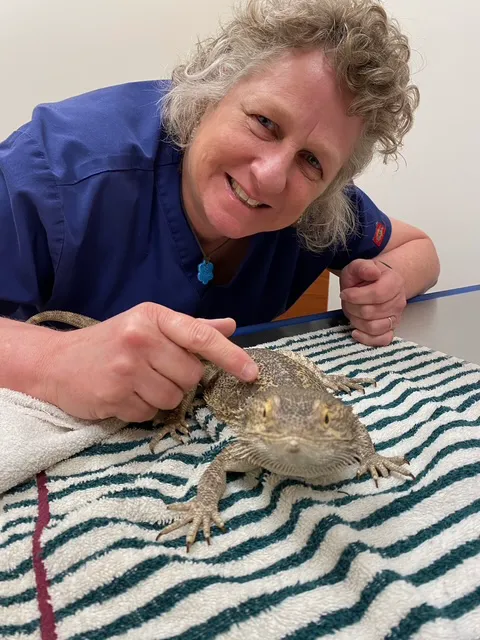 Mt Pleasant Hospital for Animals Picture 7