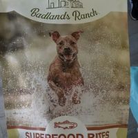 Paw Island ico