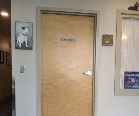 Davis Companion Animal Hospital