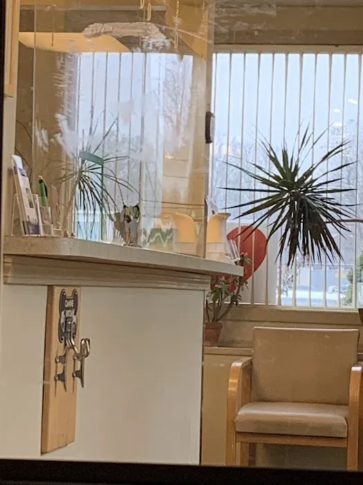 Davis Companion Animal Hospital Picture 5