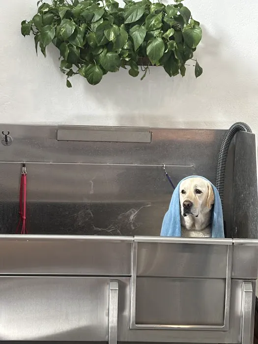 Naked Dog Bistro & Bath Picture 5