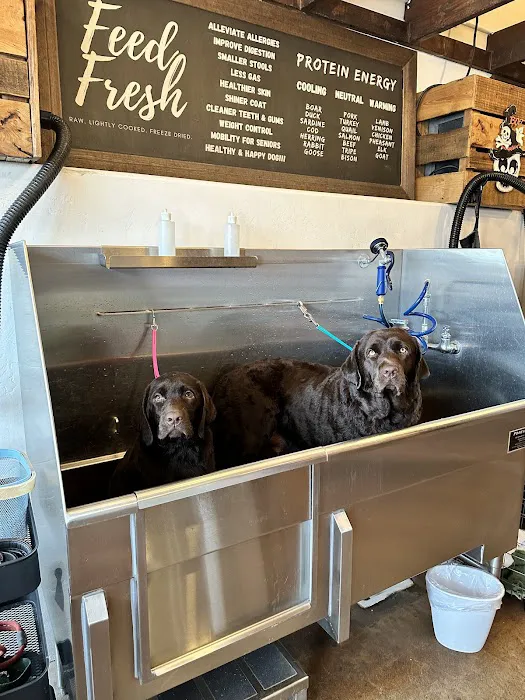 Dog Tub Picture 3