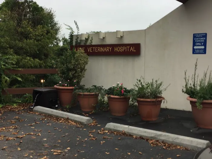 Alpine Veterinary Hospital Picture 9
