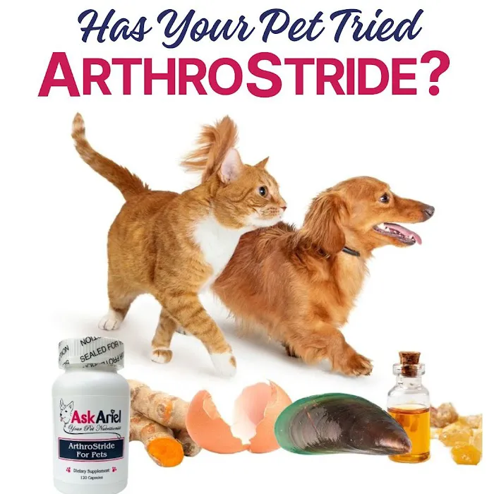 Ask Ariel Your Pet Nutritionist Picture 2