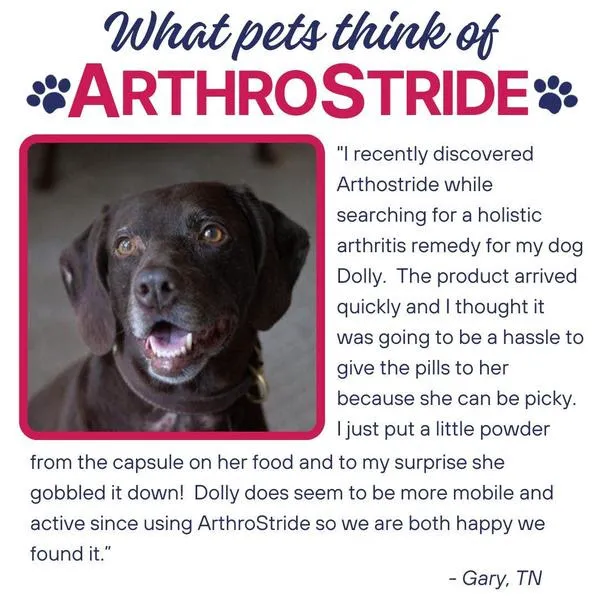 Ask Ariel Your Pet Nutritionist Picture 6