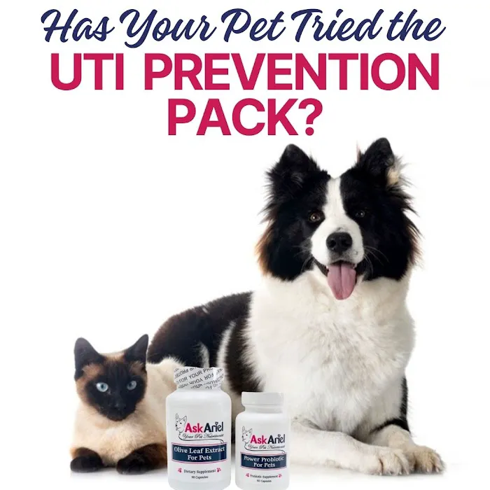 Ask Ariel Your Pet Nutritionist Picture 8
