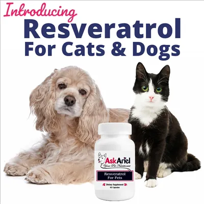 Ask Ariel Your Pet Nutritionist Picture 3