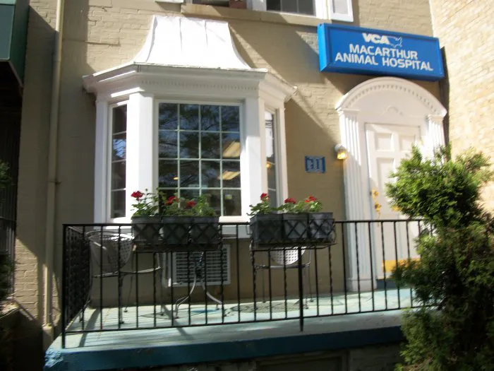 VCA MacArthur Animal Hospital Picture 7