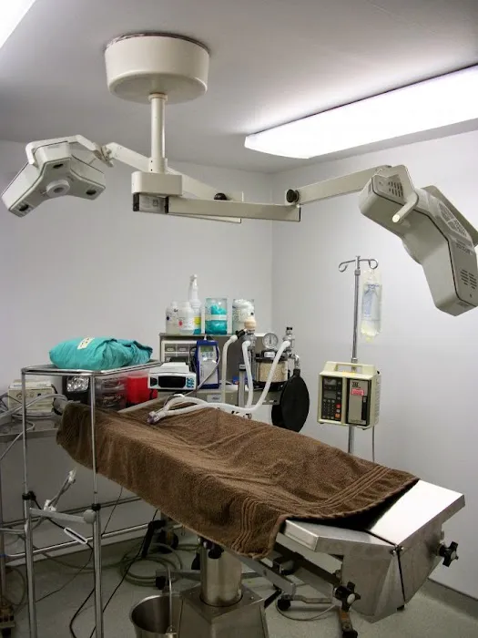 VCA MacArthur Animal Hospital Picture 8