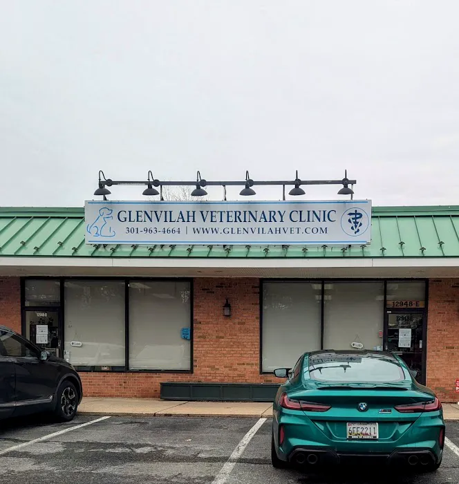 Glenvilah Veterinary Clinic Picture 2