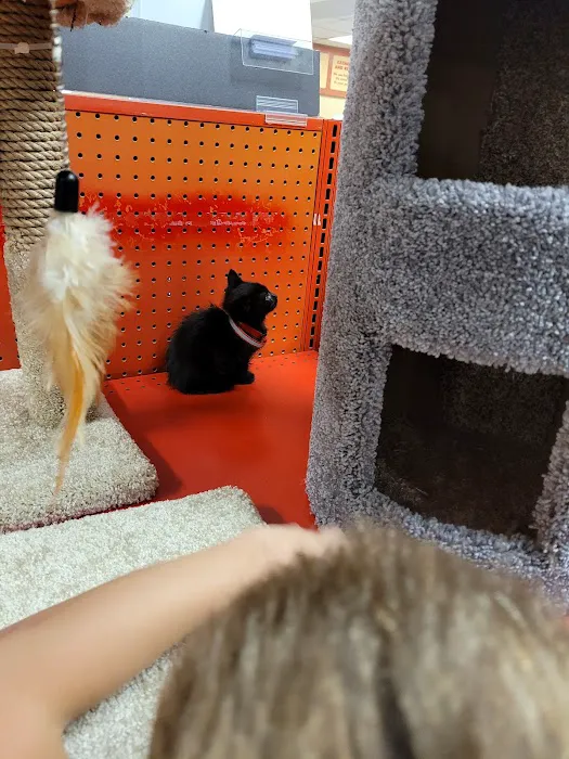 Petco Picture 8