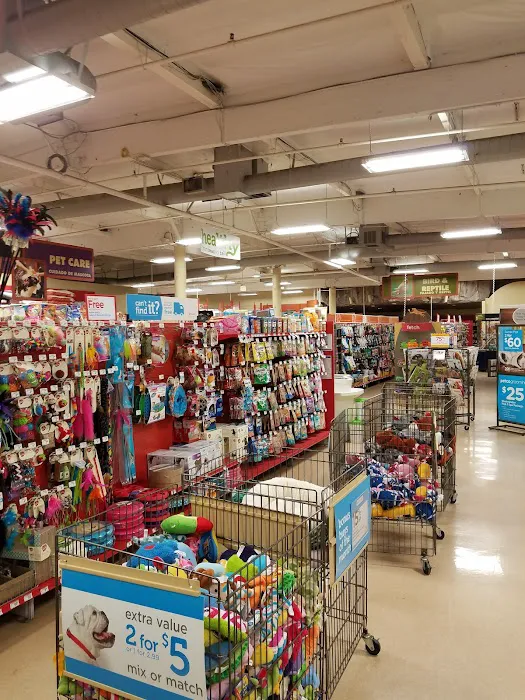 Petco Picture 4